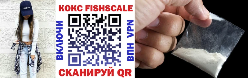 ссылка на мегу сайт  сайты даркнета состав  Заречный  Cocaine FishScale  сколько стоит 