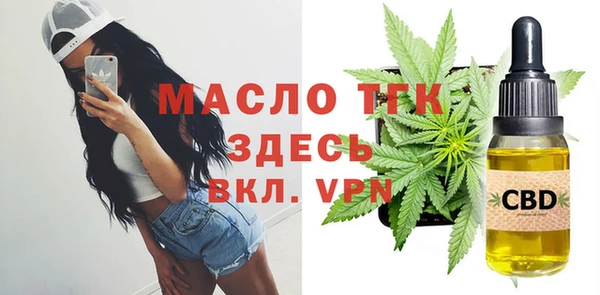 первитин Гусев