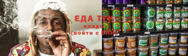 первитин Гусев