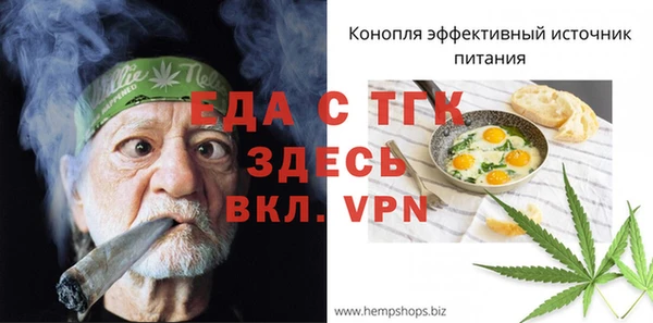 первитин Гусев