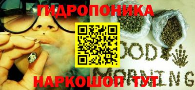 прущие грибы Лесосибирск