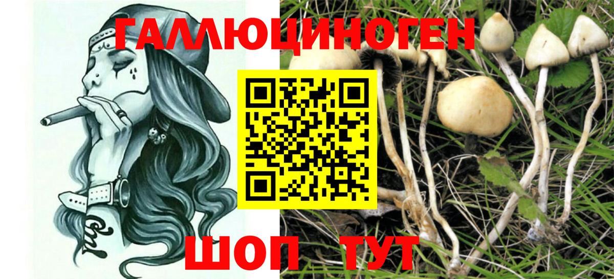 Галлюциногенные грибы MAGIC MUSHROOMS Заречный