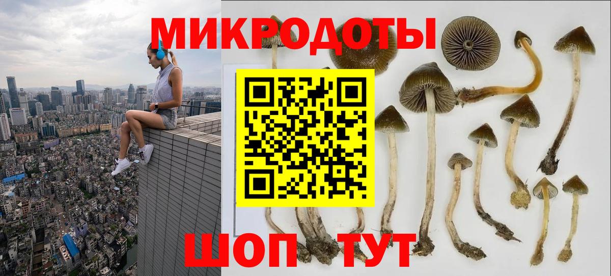Заречный  Псилоцибиновые грибы Psilocybe  Вход с VPN 